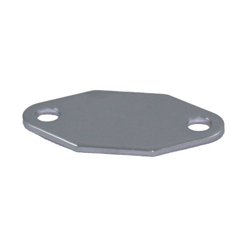 FUEL PUMP BLOCK OFF HOLD 253-308