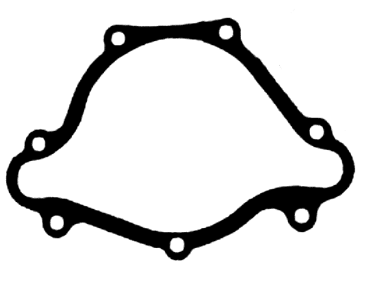 WATER PUMP GASKET CHRY 273-360