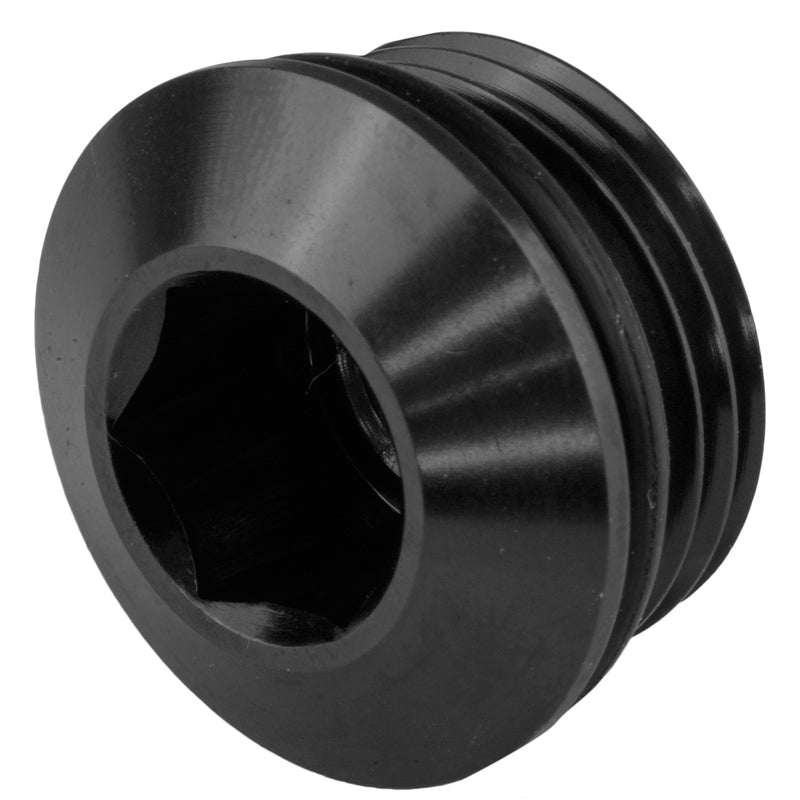 PLUG BUNG -10m O-RING PORT ALLEN HEAD LOW BLACK