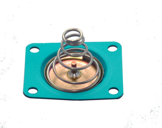 REGULATOR DIAPHRAGM KIT ALCOHOL