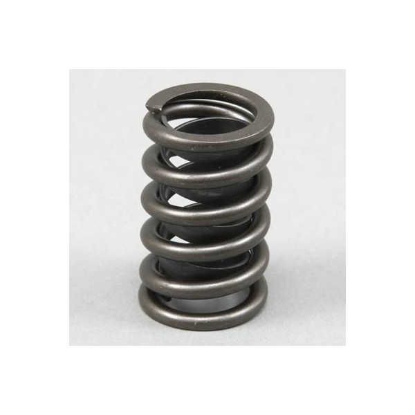 VALVE SPRING CHEV SB/HOLD V8 PERF