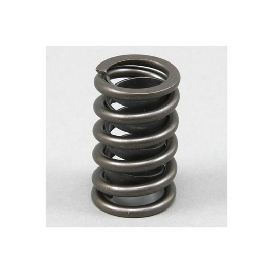 VALVE SPRING CHEV SB/HOLD V8 PERF